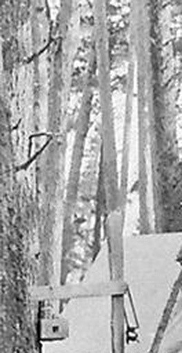 ef74176c9a84.jpg
