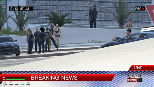 FiveM GTAProcess 28i4RBUXYg.jpg
