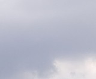 a7225ee236ab.jpg