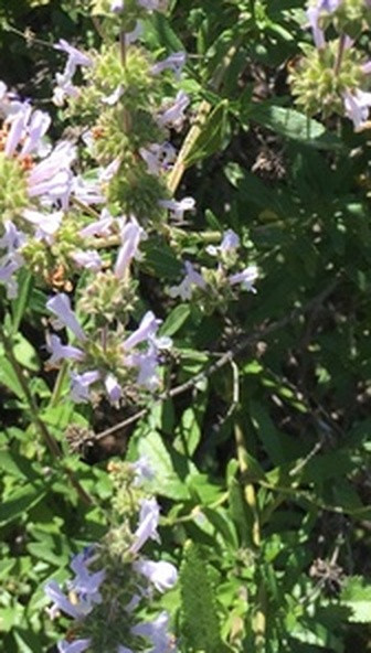b38647788e4f.jpg