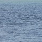 ed82b3f07dd6.jpg