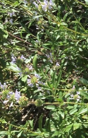f48480d6e49e.jpg