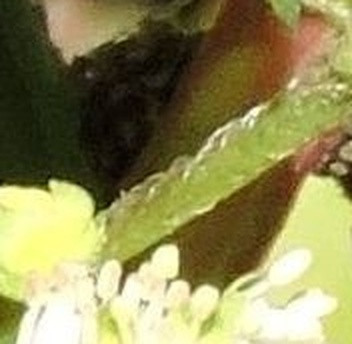 32cbe831c434.jpg