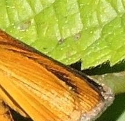 01a912409454.jpg