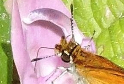 662d3e285bfb.jpg