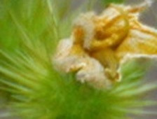 d61d2e5c8264.jpg