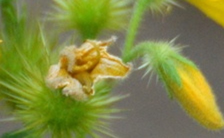 097bc6333027.jpg