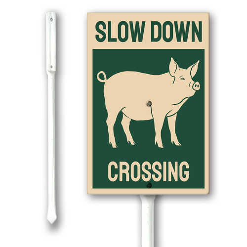slow down pig crossing.jpg