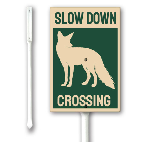 slow down Fox crossing.jpg
