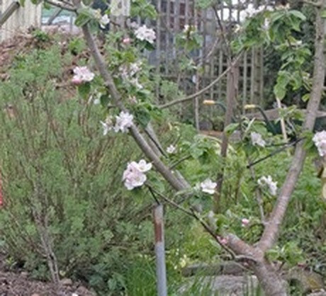 581f3e25cda5.jpg