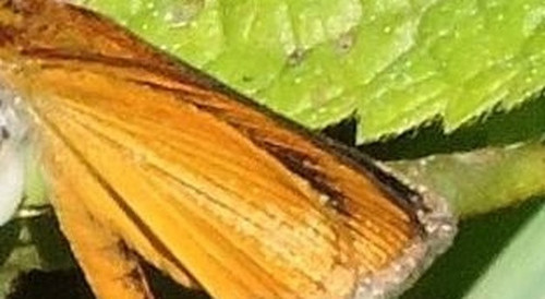 57970cbe6fcb.jpg