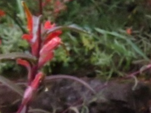 cde755ec41d8.jpg