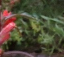 87535866c623.jpg