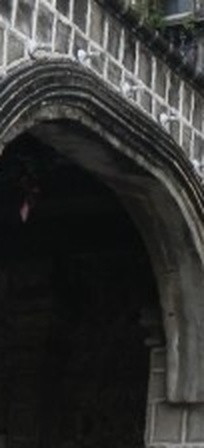 37e42c63187a.jpg