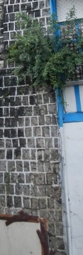 90afe9d42faa.jpg