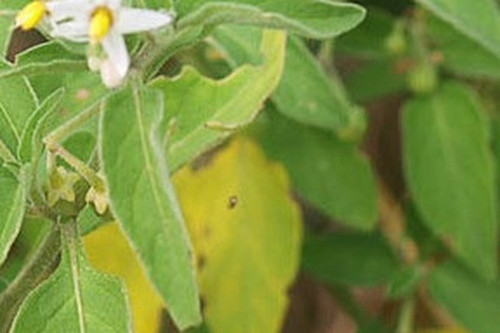 9157e829e31c.jpg