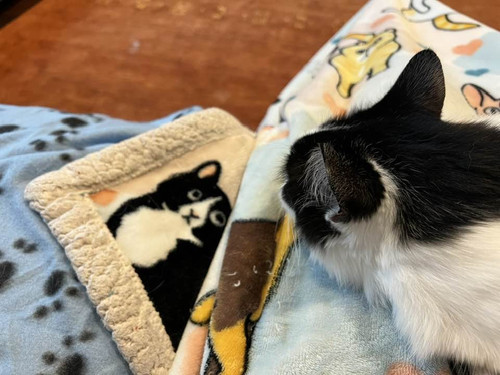 663234307 733729843160167 6656251782551250776 n.jpg