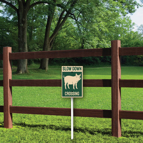 slow down pig crossing 3.jpg