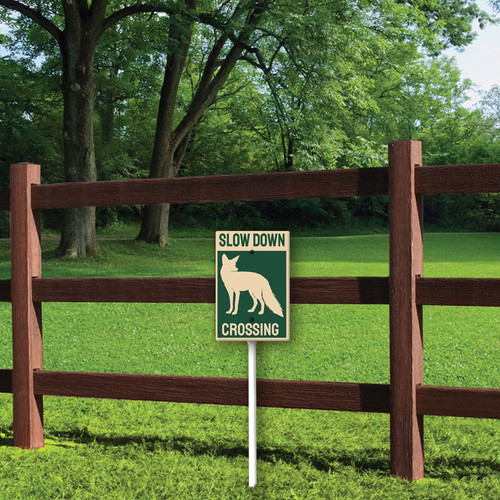 slow down Fox crossing 3.jpg
