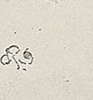 740c1cb5377d.jpg