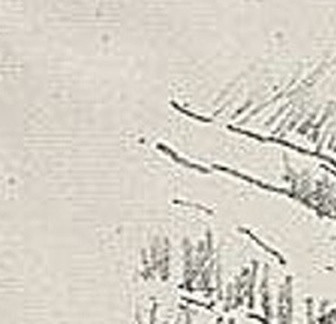 494dbd9e3b34.jpg
