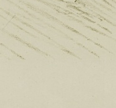 1e900e40db99.jpg