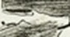 59a307d74fa6.jpg