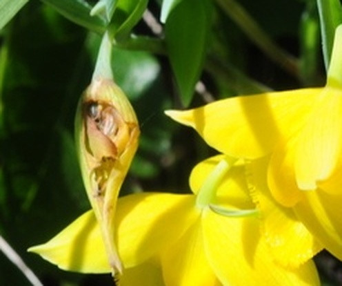 ae5b16734691.jpg