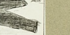 19c1a856974f.jpg
