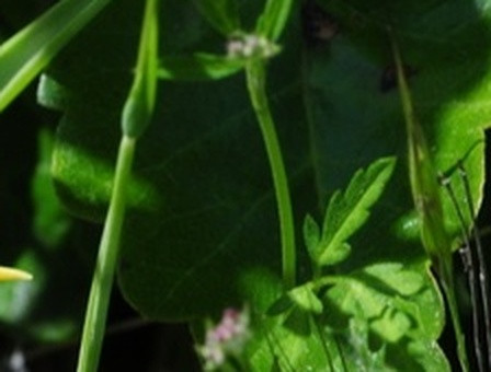 cf0c54585759.jpg