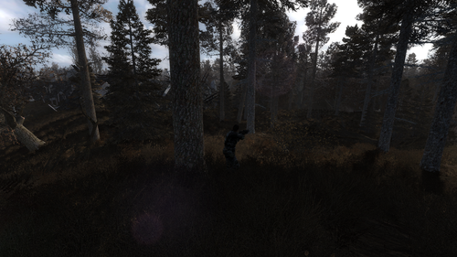 stalker lost alpha 46106512624 o