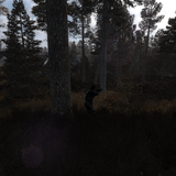 stalker lost alpha 46106512624 o