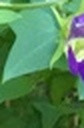 cc007c1100a2.jpg