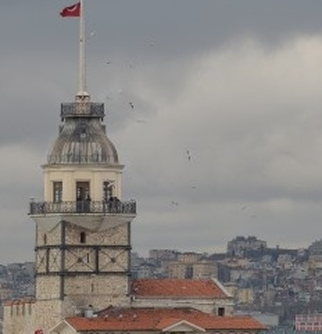 274656cdcfc9.jpg