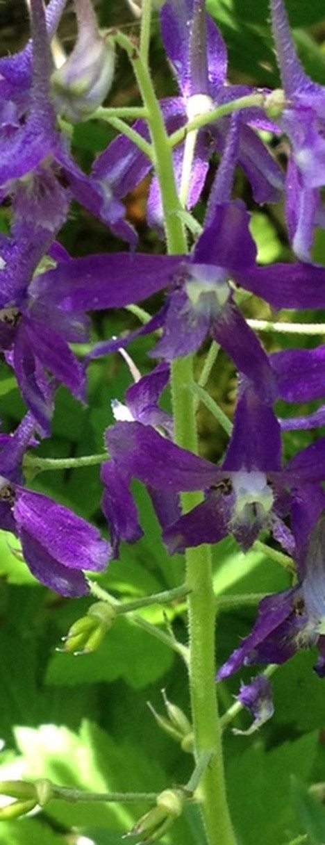 85e6fd04803e.jpg