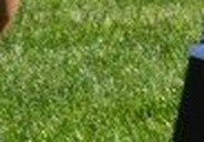 08ac79d8134d.jpg