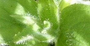 b539e2e484c7.jpg