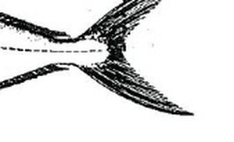 32078be217ae.jpg