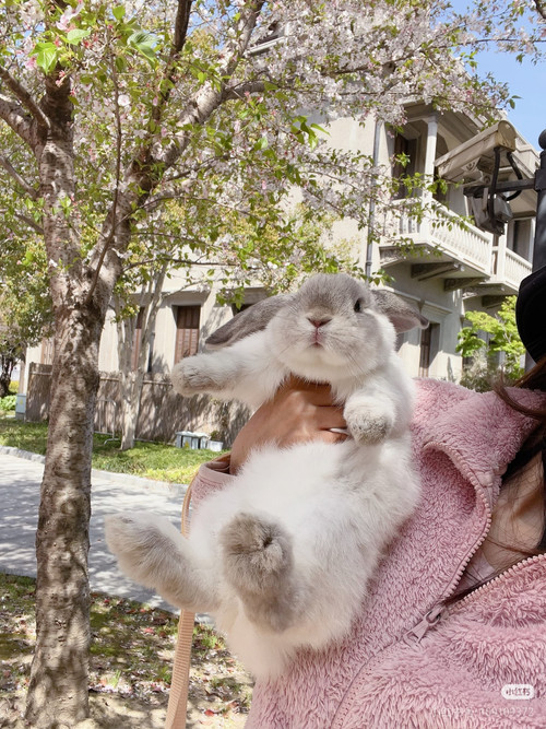 Camera 1040g3k031umd2ud8j40040kek0r6pjgjjjdvl30.jpg