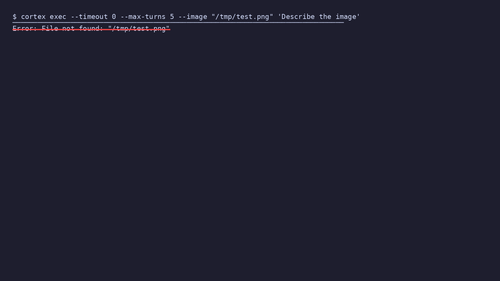 gen 0021 cli 20260407 183209.png