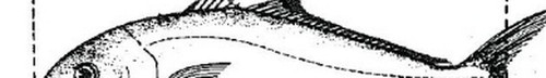 41e7d8b776a9.jpg