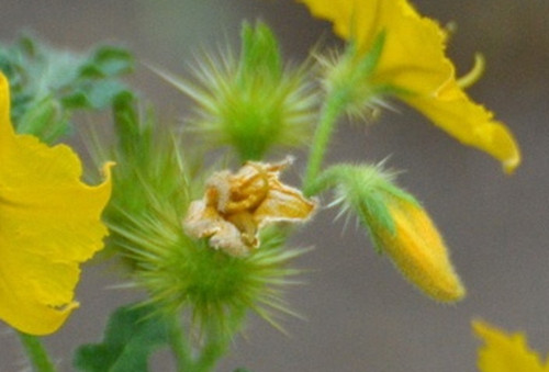 f657ff4777ba.jpg