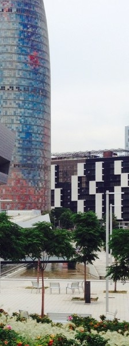 167d1731c800.jpg
