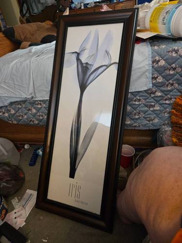 c5d2816455d6.jpg