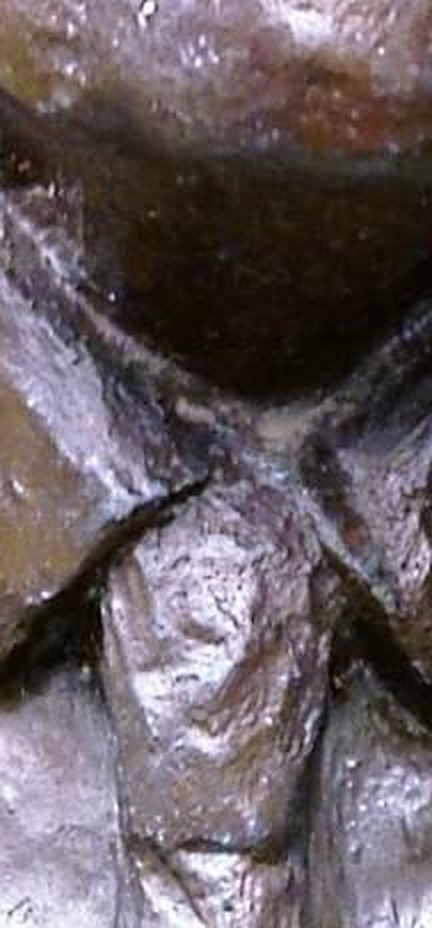 433d38114663.jpg