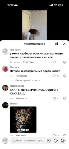 IMG 7924.png