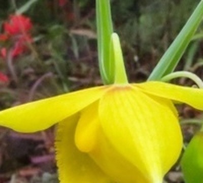 2a0284416e2a.jpg