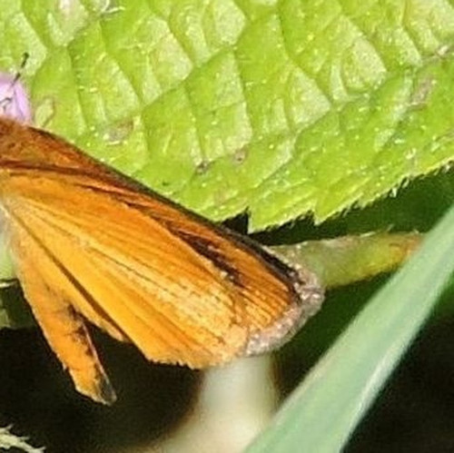 af2bcfe178d2.jpg