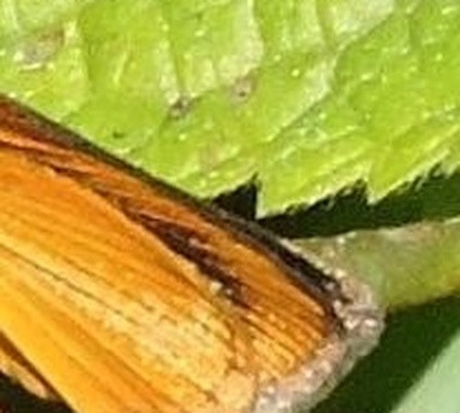 e2661b9114fb.jpg