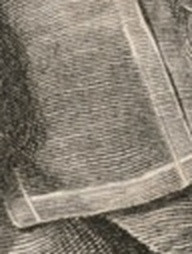 d9f81f2f903e.jpg